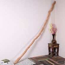 老藤条摆件280*cm